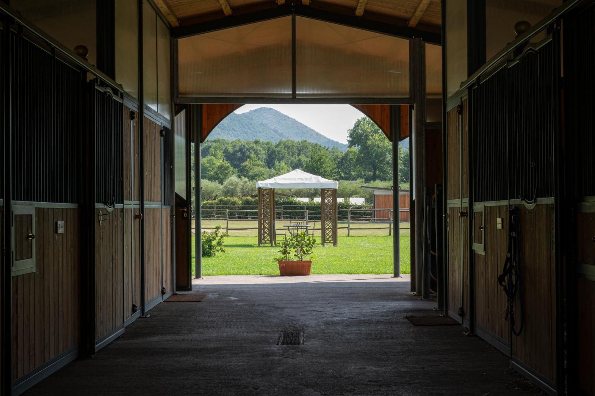 Family Farm Soc. Agr. A R.L. Villa Vairano Patenora ภายนอก รูปภาพ