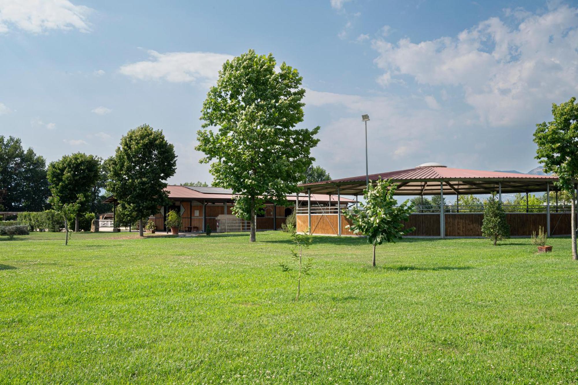 Family Farm Soc. Agr. A R.L. Villa Vairano Patenora ภายนอก รูปภาพ