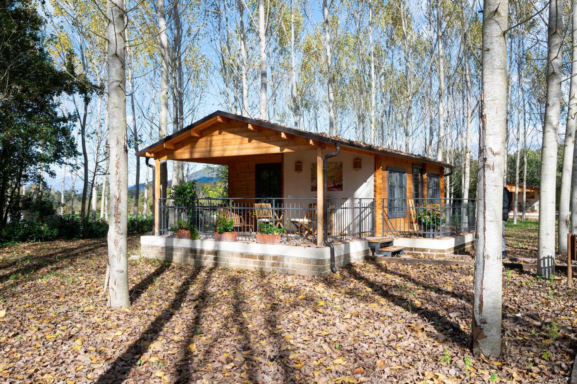 Family Farm Soc. Agr. A R.L. Villa Vairano Patenora ภายนอก รูปภาพ